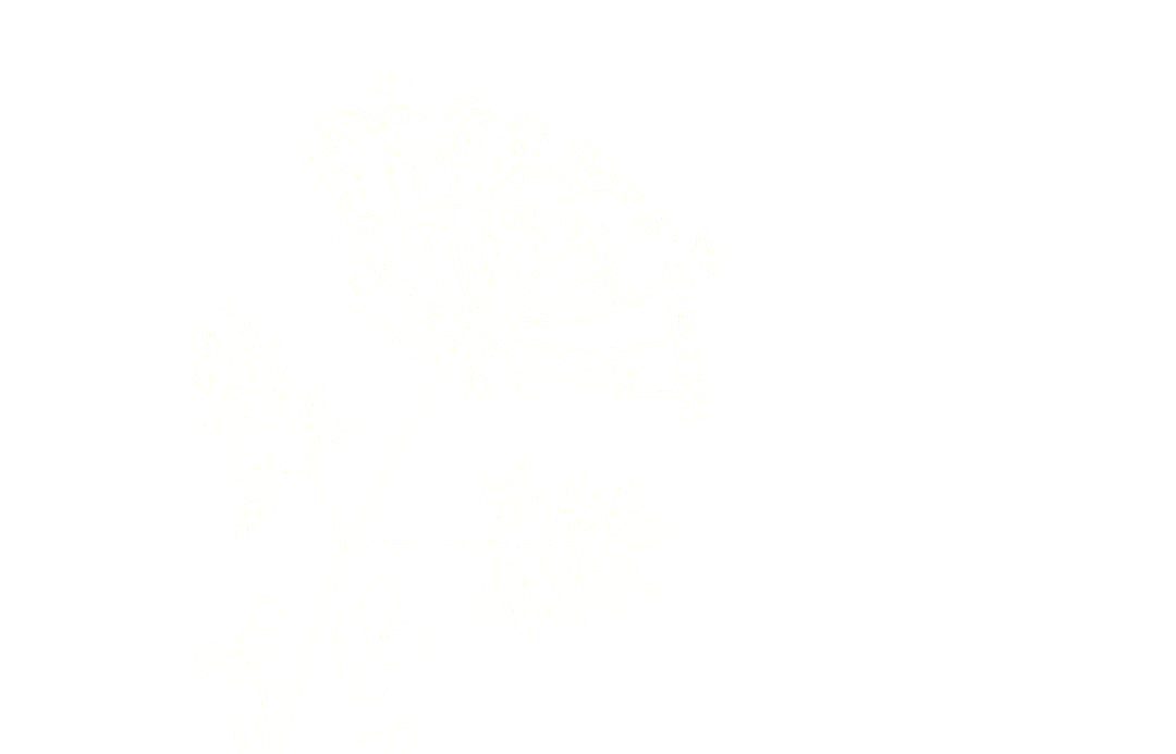 fleur blanche